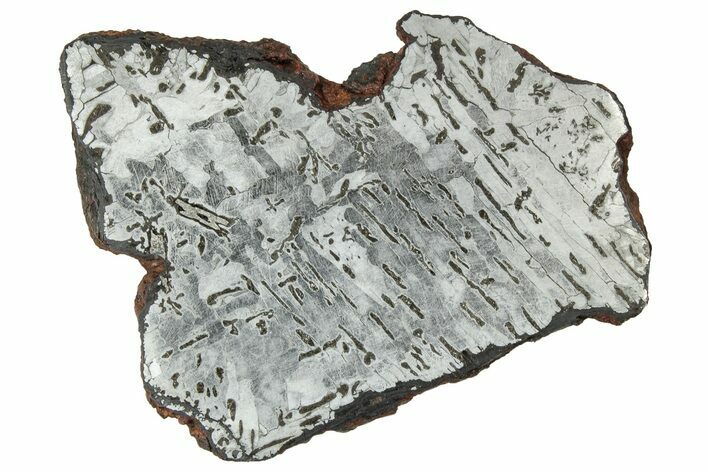 Etched Canyon Diablo Meteorite Slice ( g) - Arizona #329404